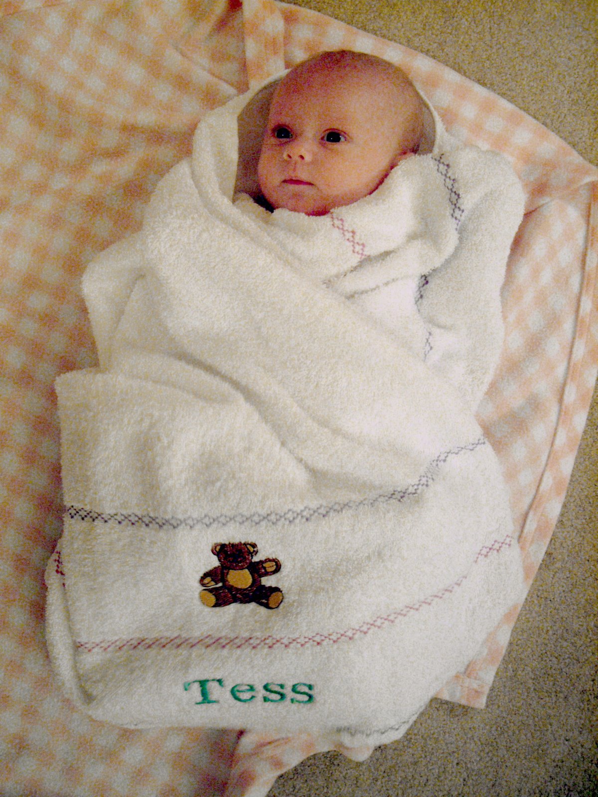 [Tess+Towel.jpg]