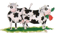 [cows.gif]