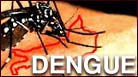 [dengue.jpg]