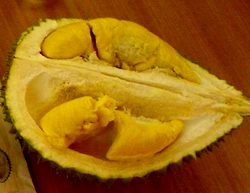 [Durian_Pulp_2.JPG]