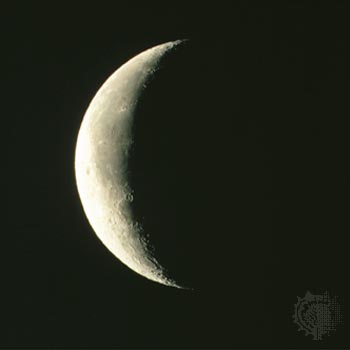 [latenight+moon.jpg]