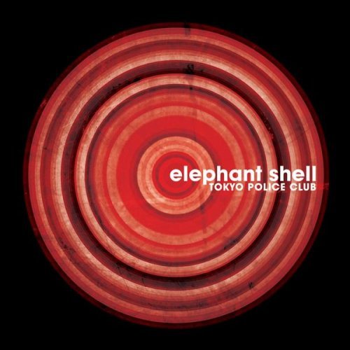 [elephant+shell.jpg]