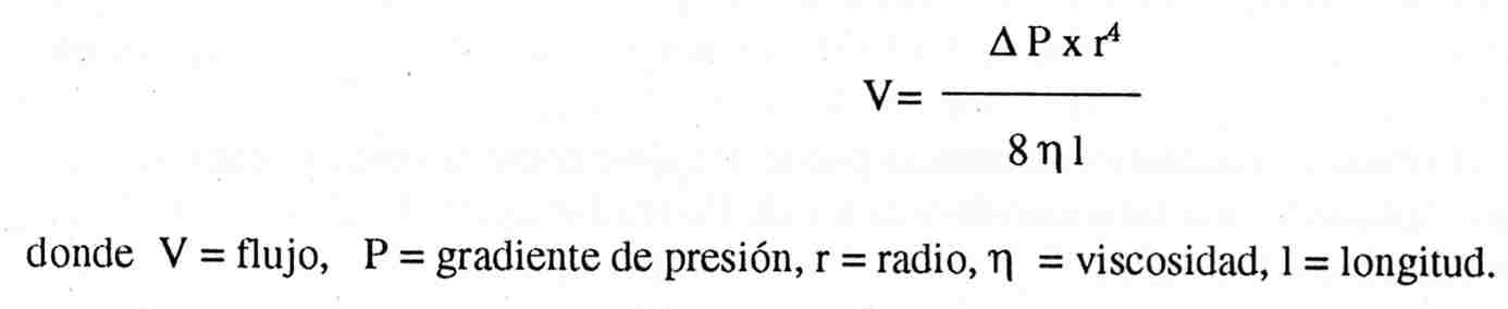 [fórmula2.jpg]