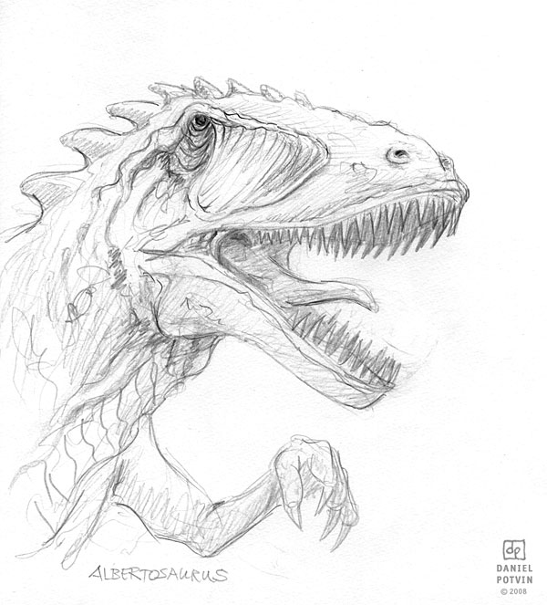 [albertosaurus-sketch.jpg]