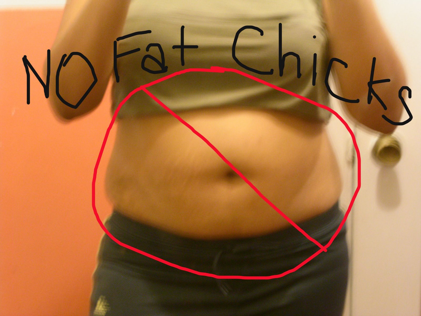 [no+fat+chicks.jpg]