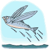 [pez+volador+poisson_volant.gif]