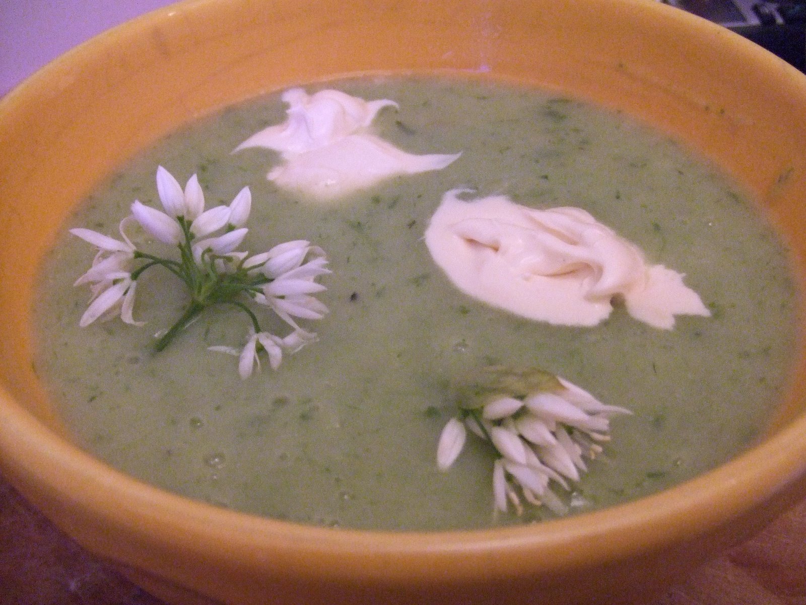 [green+garlic+soup.JPG]