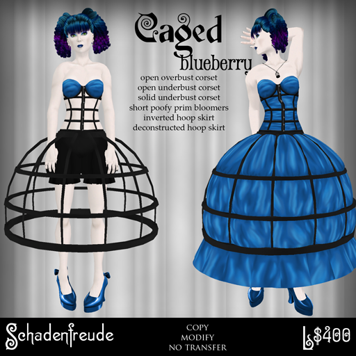 [caged+blueberry.png]