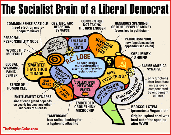 [liberals-brain.gif]