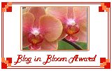 [Blog+in+Bloom+Award.bmp]