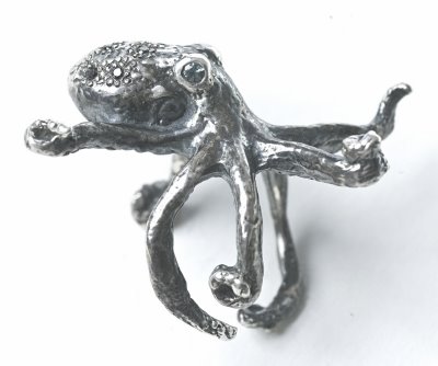 [small_octopus_side_view.jpg]