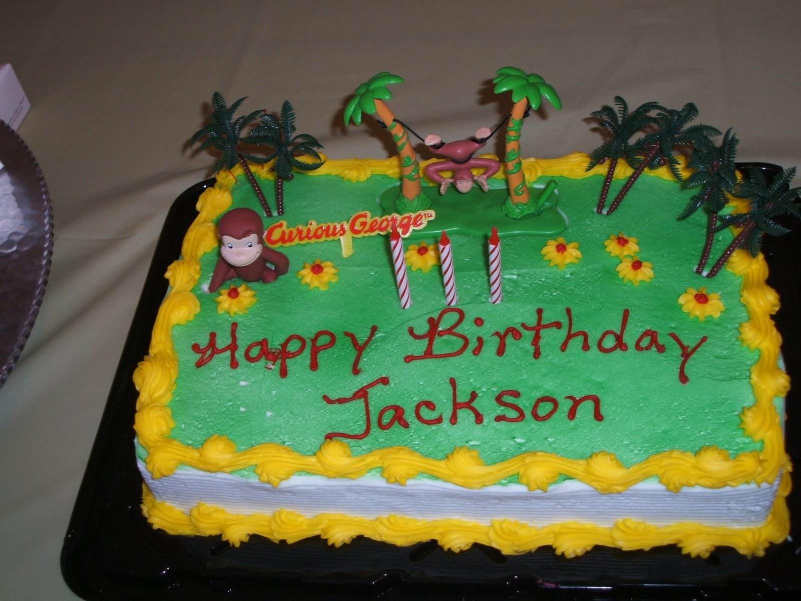 [Jackson's+birthday,+GA,+and+a+big+snow!+007.jpg]