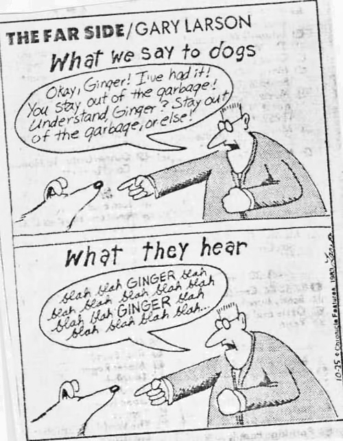 [cartoon-what-we-say-to-dogs.jpg]