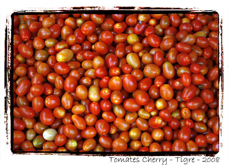 [Tomates.jpg]