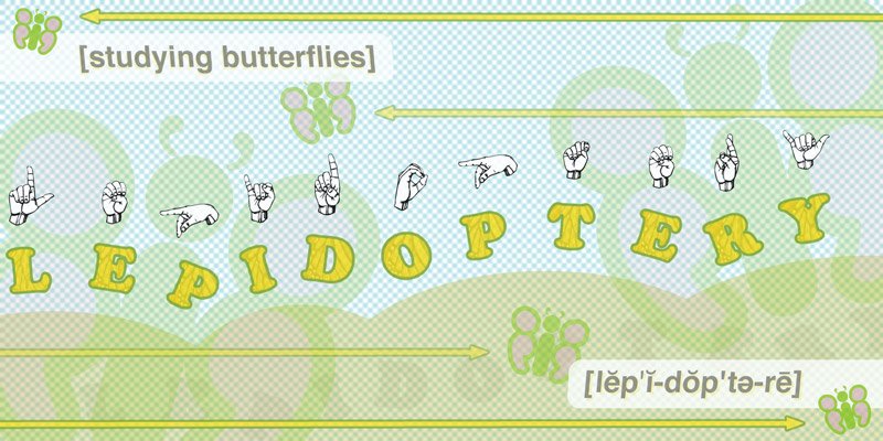 [lepidoptery.jpg]