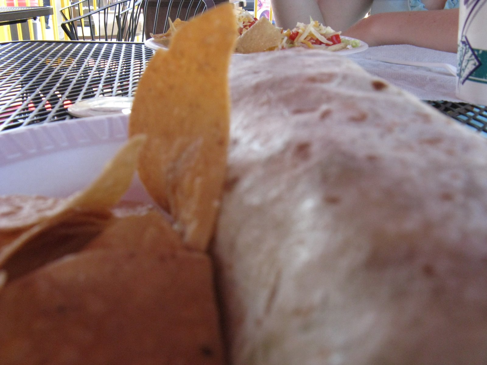 [Chicken+Tacos,+Fish+Burrito.JPG]