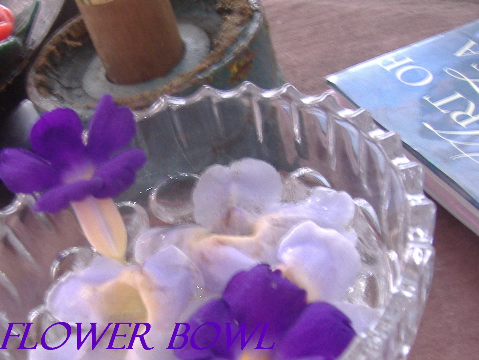 [flower+bowl.JPG]