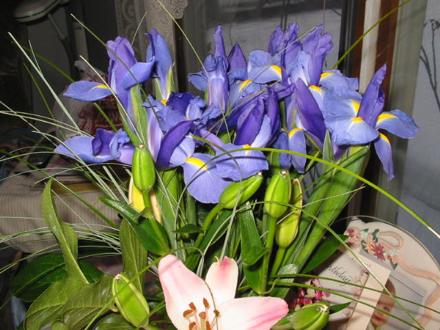 [Day+1+Iris+and+Lilies.JPG]