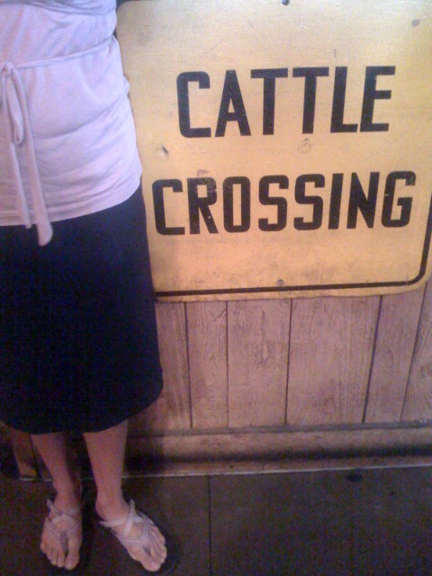 [cattlecrossing.jpg]