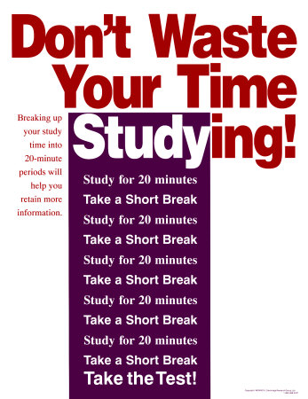 [27513~Don-t-Waste-Time-Studying-Posters.jpg]