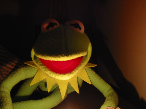 [Kermit-Big.jpg]
