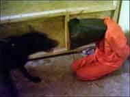 You know what's sad? This isn't the most shocking picture from Abu Ghraib