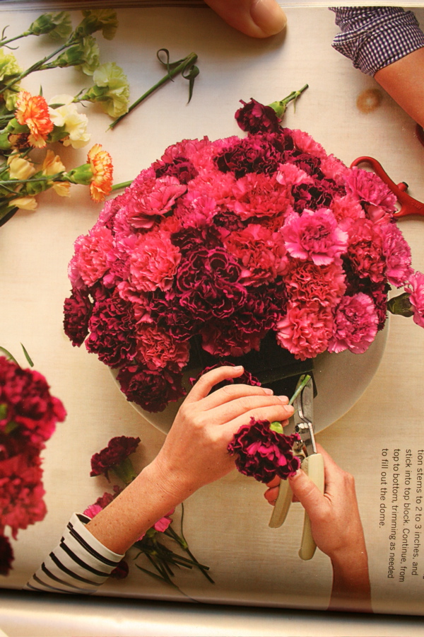 [carnations.JPG]