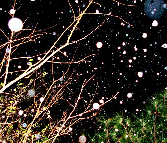 [snowy+snow.JPG]
