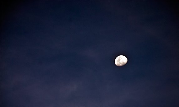 [moonlight.jpg]