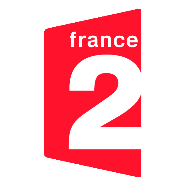 [France_2_TV.gif]