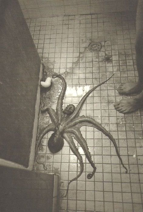 [Octopussy_08.jpg]