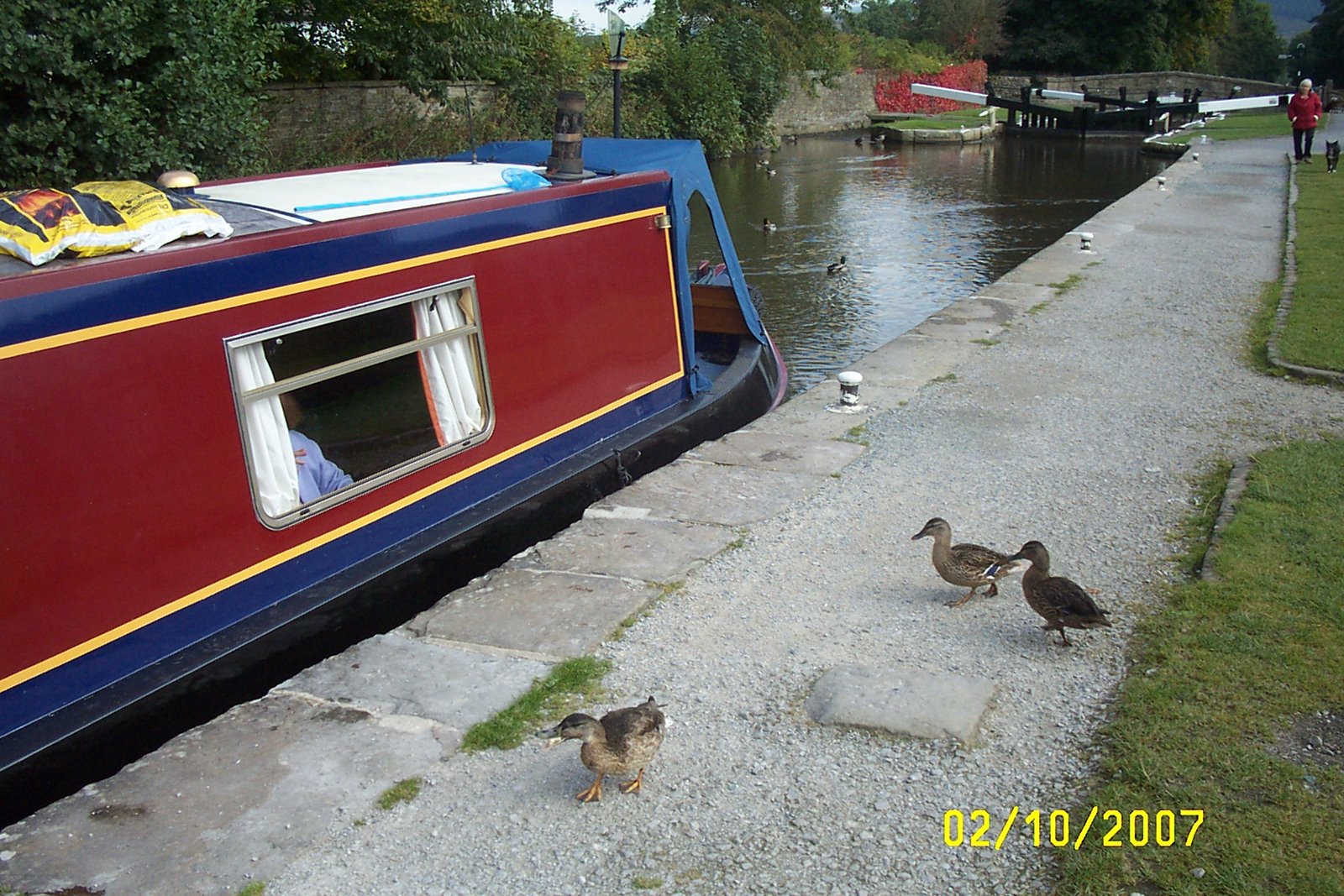 [October+2007+002+Gargrave+Ducks.jpg]