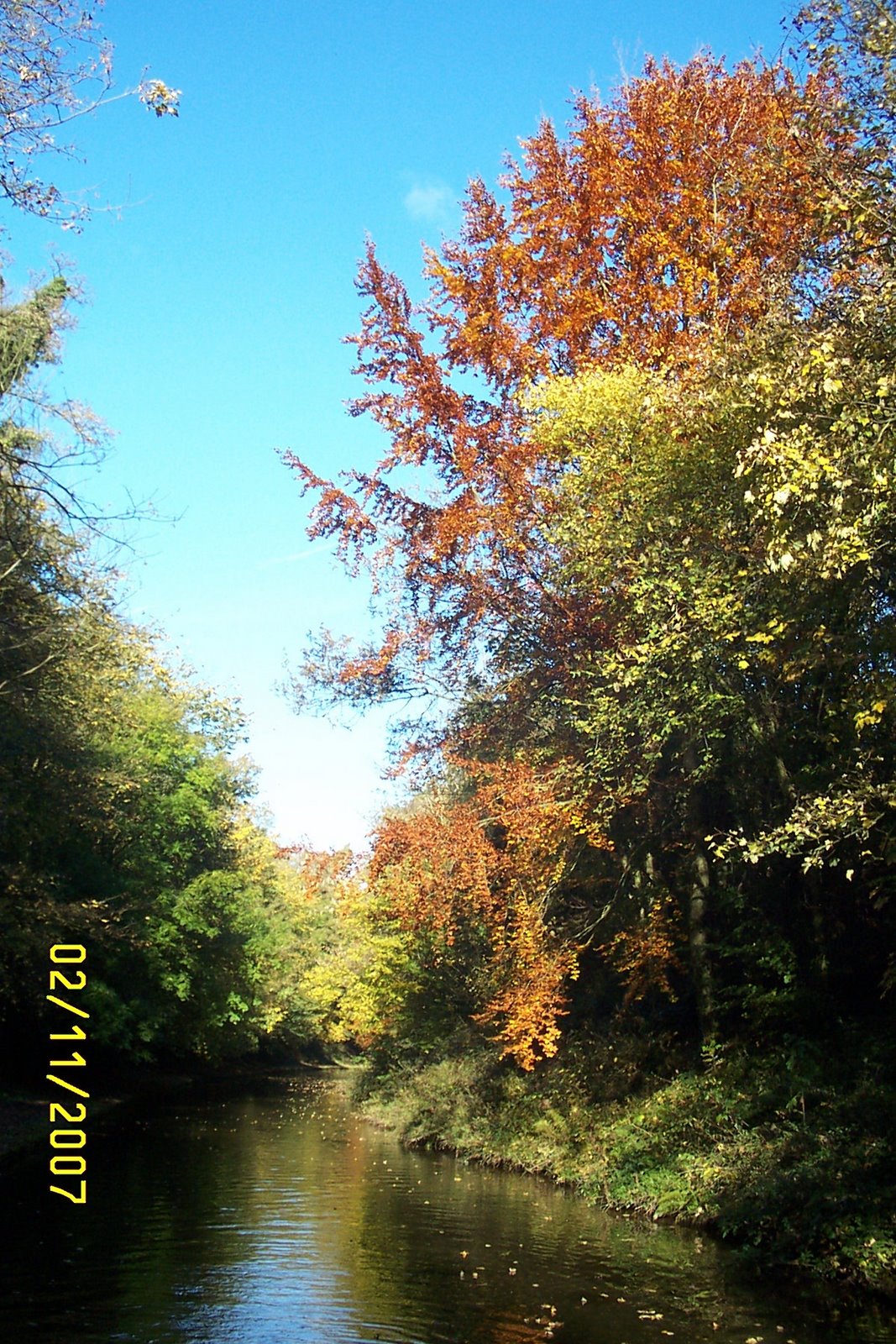 [November+2007+008+Autumn+Colours.jpg]