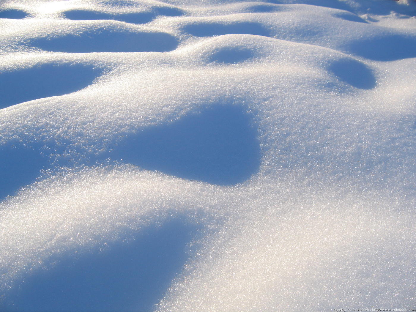 [20050107-02+-+Snow+in+Backyard-3.jpg]