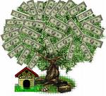 [money++tree.jpg]
