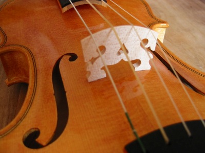 [violin+4.jpg]