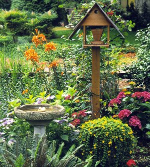 [bird+garden.jpg]