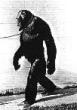 The first Humanzee case ever