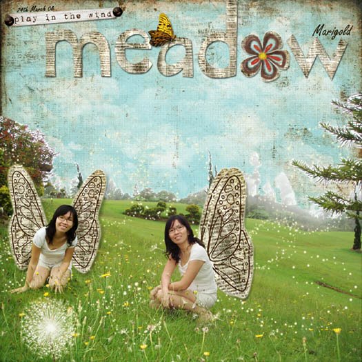 [meadow+filed+(s).jpg]
