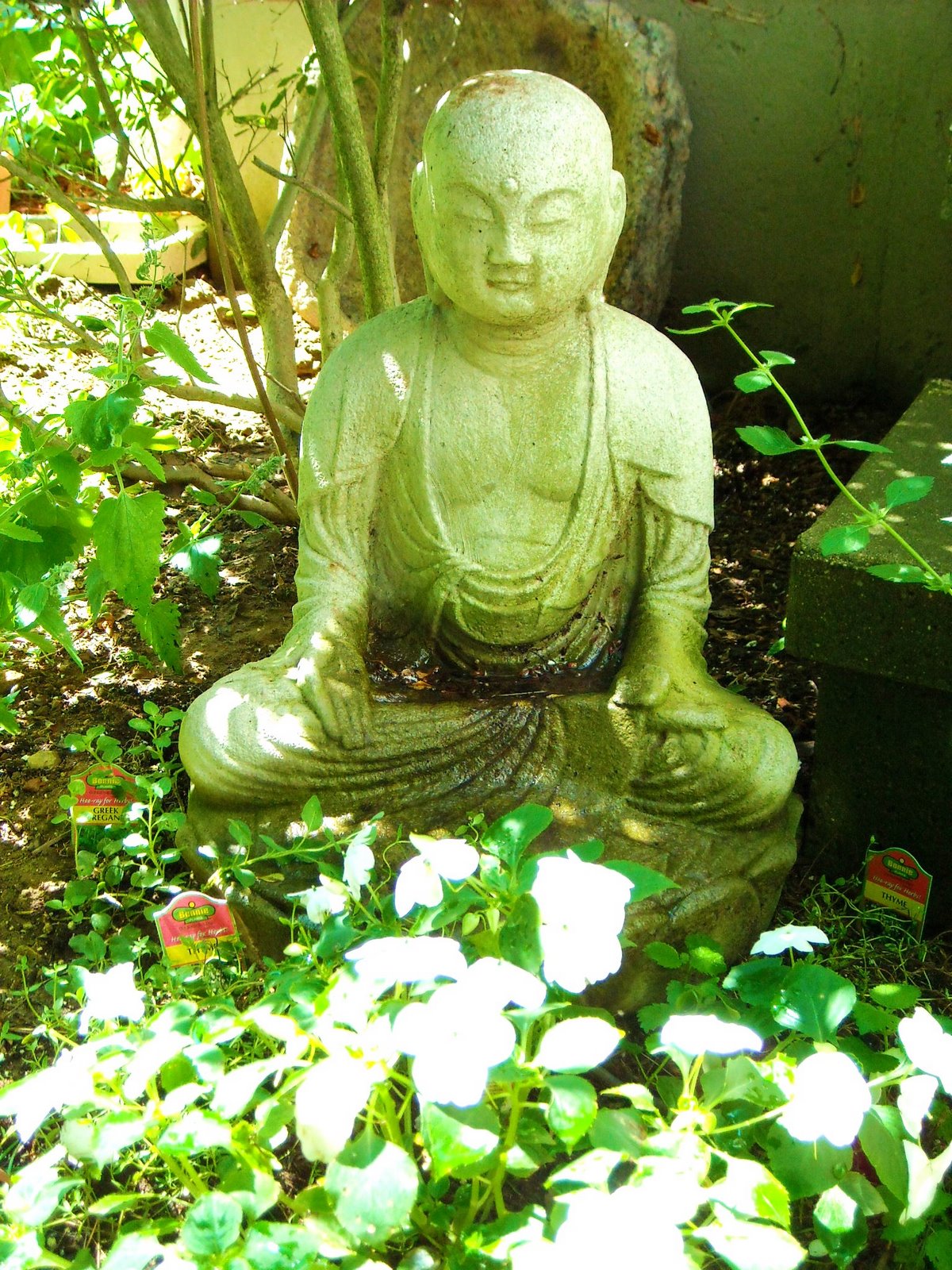 [Buddha+7-9-08.JPG]