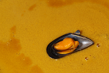 [veloute-moules.jpg]