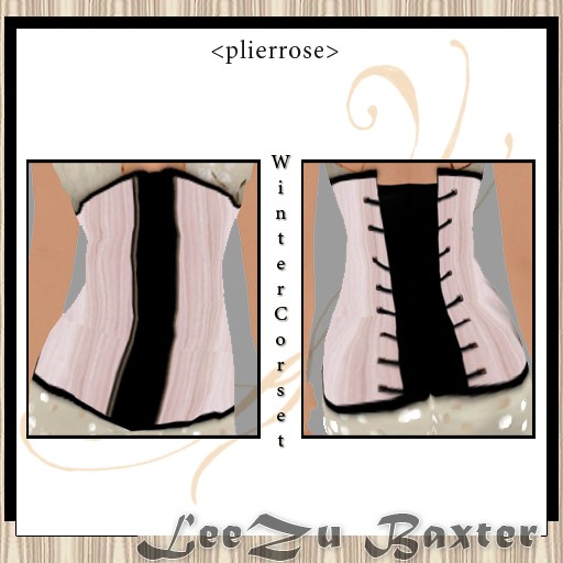[Copy+of+corset+plierrose.jpg]