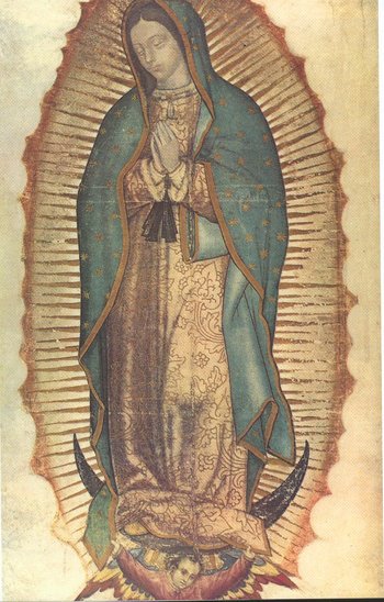 [Our+Lady+of+Guadalupe.jpg]