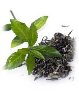 [green-tea-health-benefit.jpg]