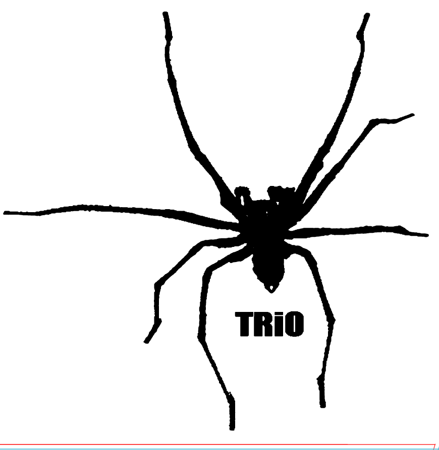 [spider+trio+art+for+web.gif]