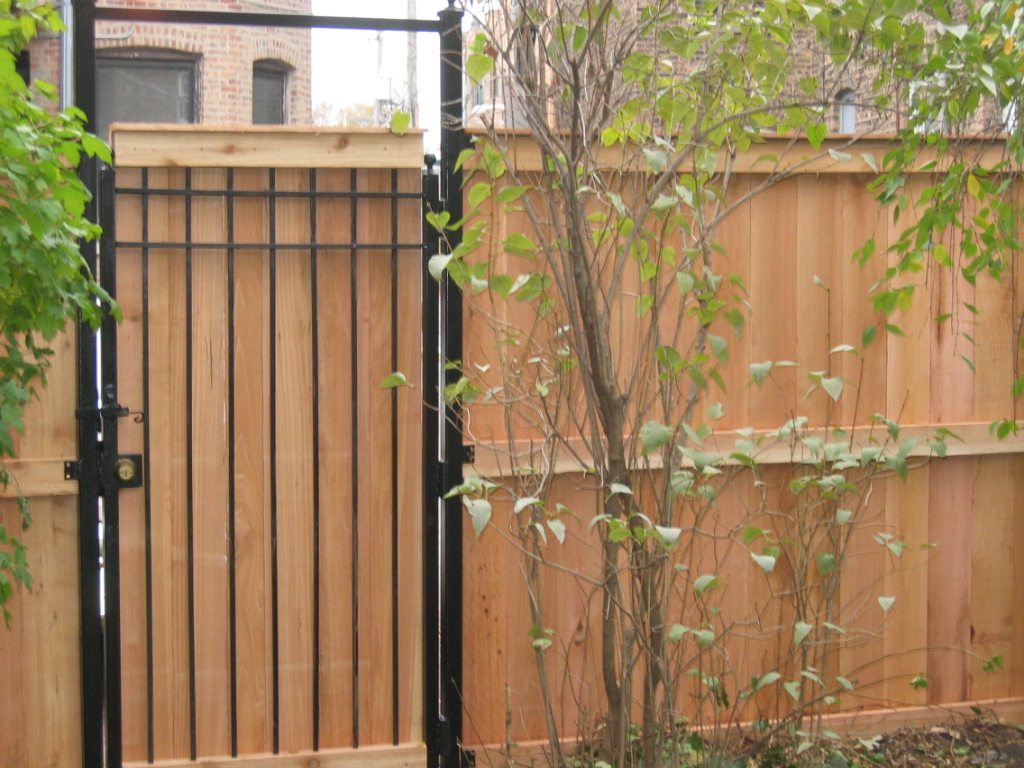 [New+fence+with+gate.JPG]