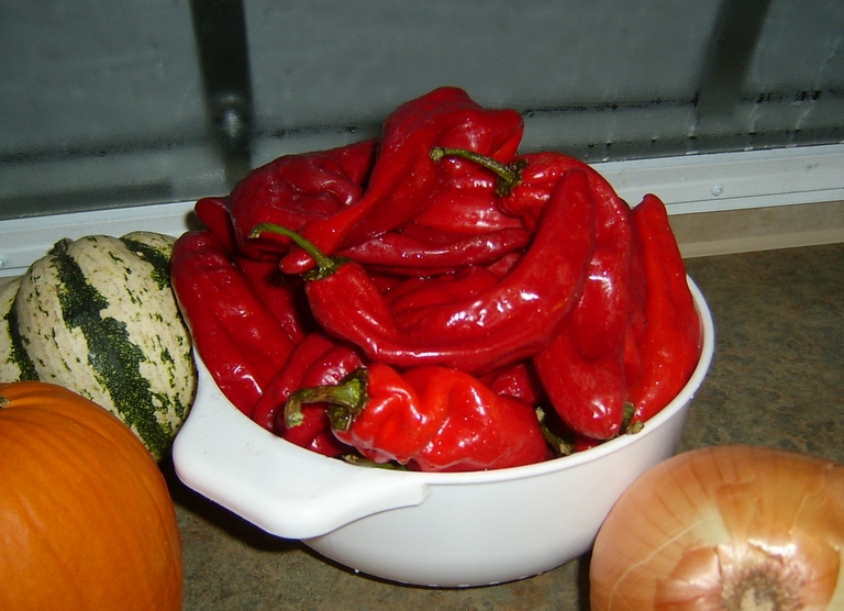 [sweet+italian+peppers+02.jpg]