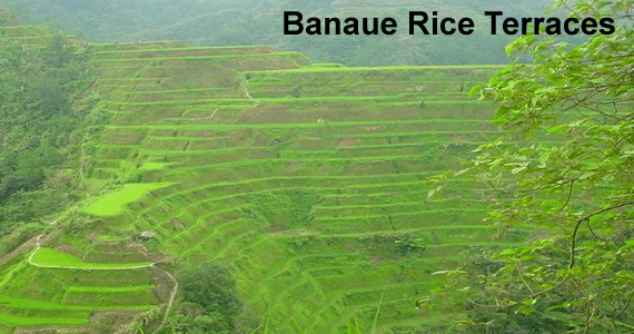 [banaue_rice_terraces.gif]