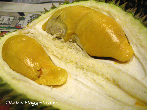 [durian6.jpg]