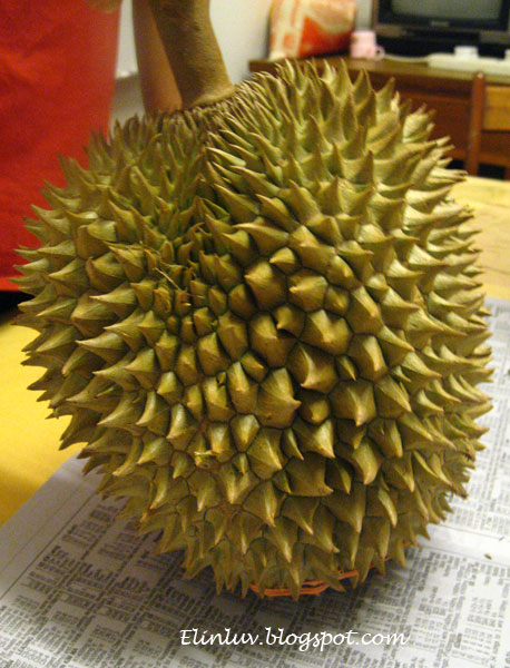 [durian-5.jpg]